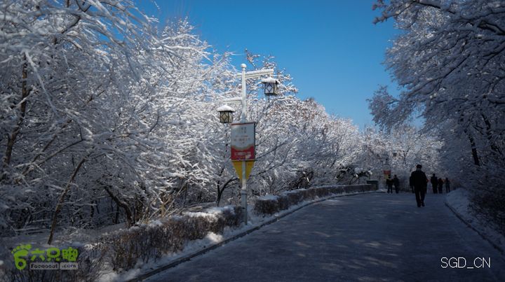 雪后龙山DSC05135