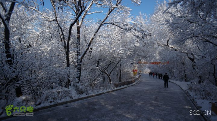 雪后龙山DSC05137