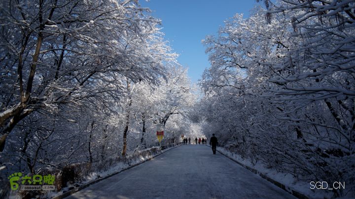 雪后龙山DSC05138