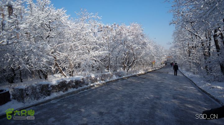 雪后龙山DSC05140