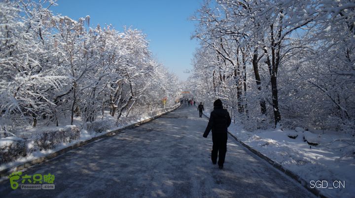 雪后龙山DSC05141