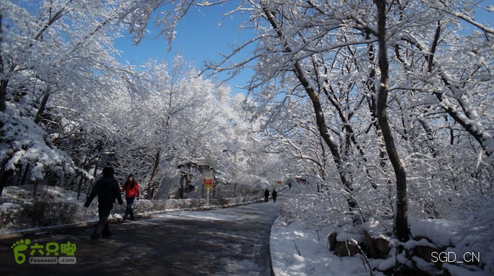 雪后龙山DSC05144