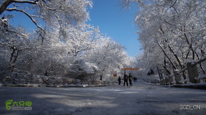 雪后龙山DSC05147