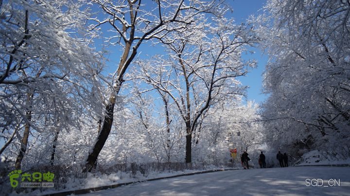 雪后龙山DSC05148