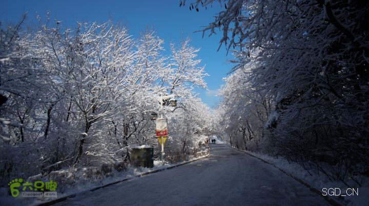 雪后龙山DSC05149