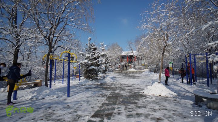 雪后龙山DSC05154