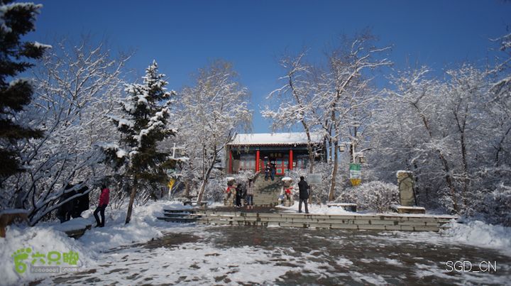 雪后龙山DSC05156