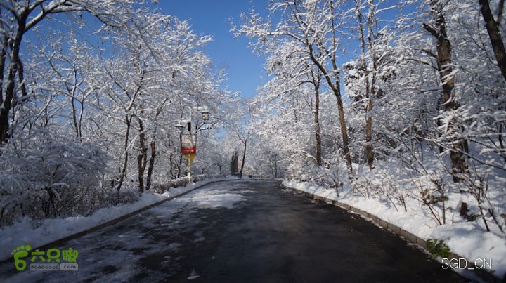 雪后龙山DSC05161