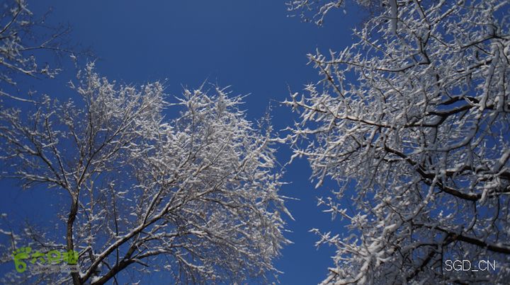 雪后龙山DSC05163