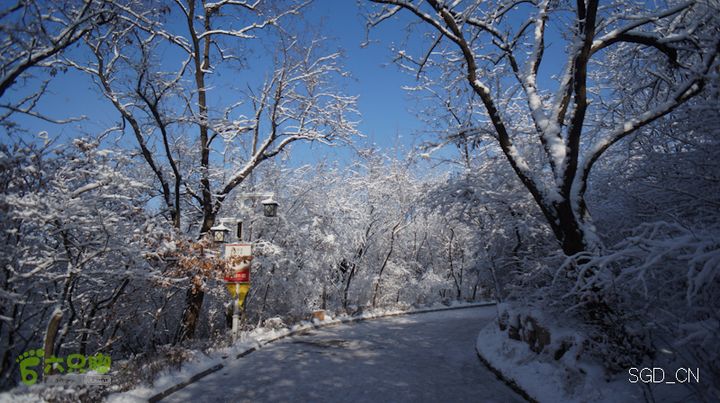 雪后龙山DSC05164