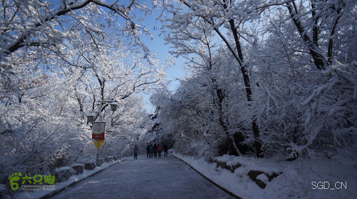 雪后龙山DSC05165