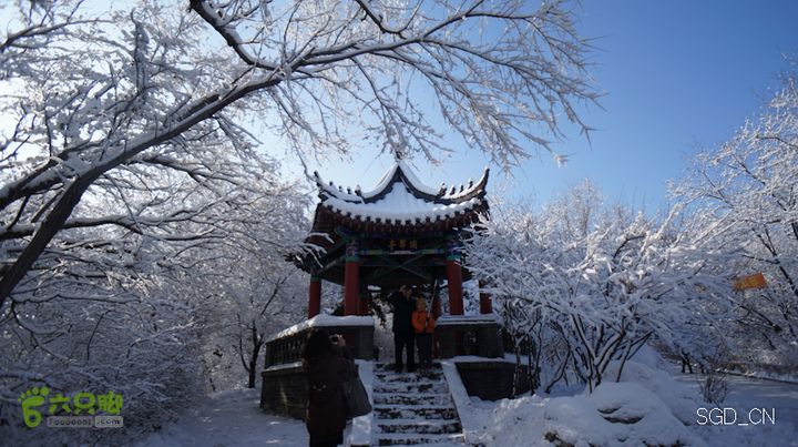雪后龙山DSC05166
