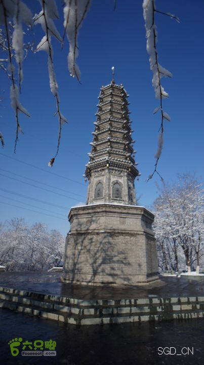 雪后龙山DSC05184