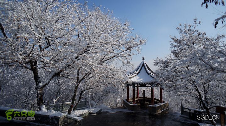 雪后龙山DSC05188