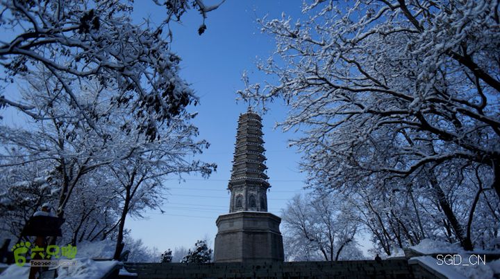 雪后龙山DSC05194