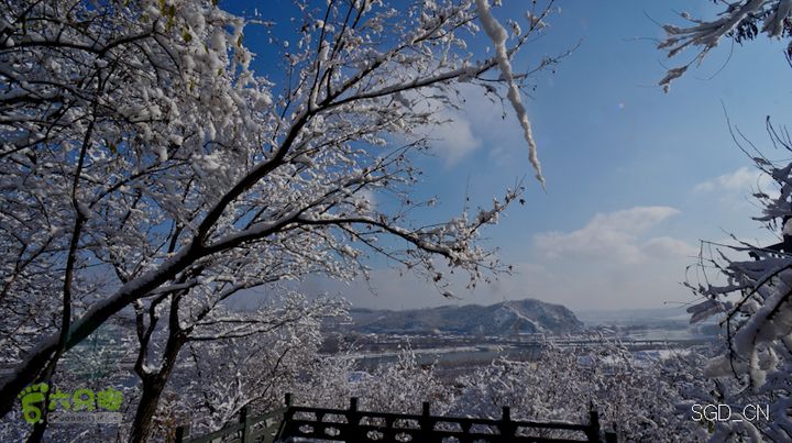 雪后龙山DSC05200