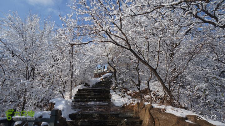 雪后龙山DSC05206