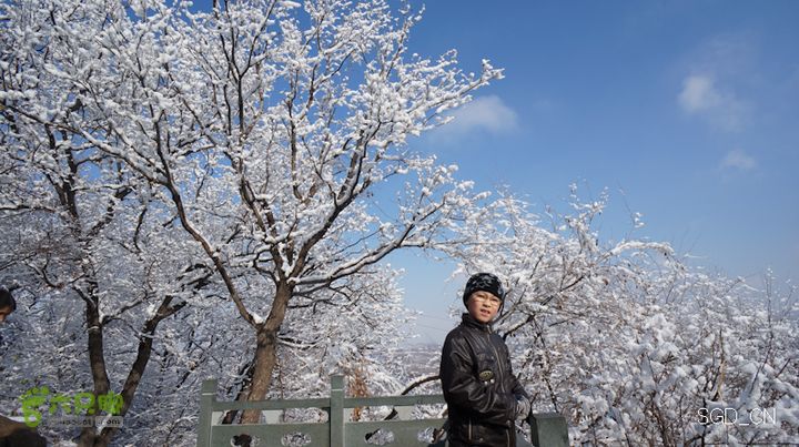 雪后龙山DSC05213