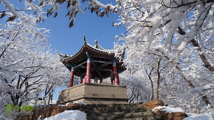 雪后龙山DSC05216