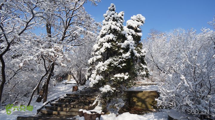 雪后龙山DSC05217