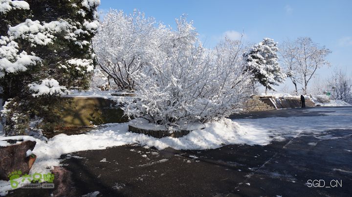 雪后龙山DSC05218