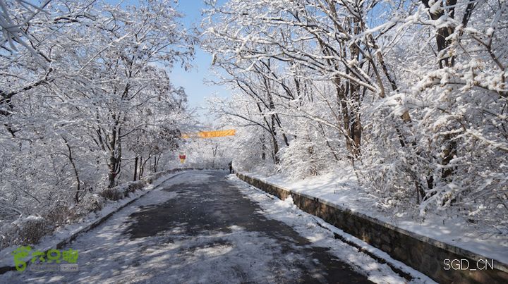 雪后龙山DSC05219