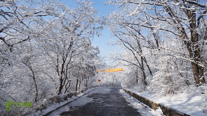 雪后龙山DSC05220