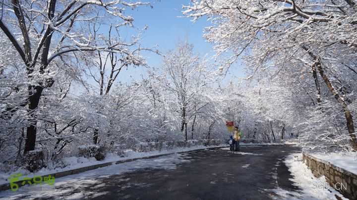 雪后龙山DSC05221
