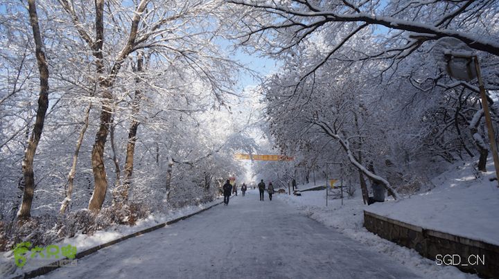 雪后龙山DSC05223