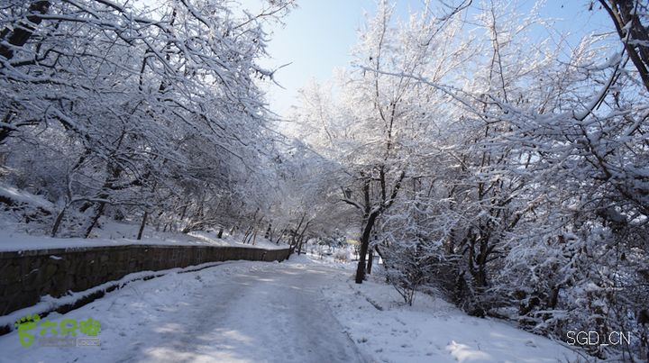 雪后龙山DSC05224
