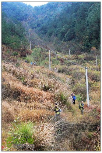 朱锡岭+车慈岭红枫古道IMG_8469