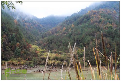 朱锡岭+车慈岭红枫古道IMG_8476