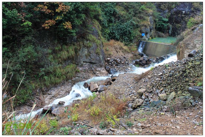 朱锡岭+车慈岭红枫古道IMG_8479