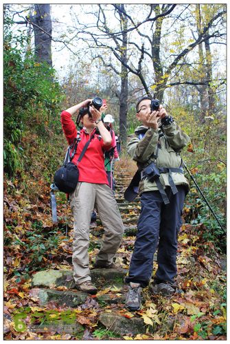 朱锡岭+车慈岭红枫古道IMG_8513