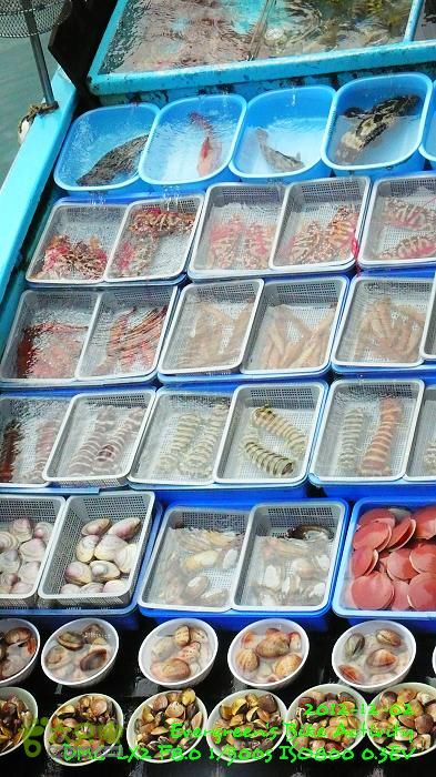 2012 12 02 紅磡往錦田108KmP1500815