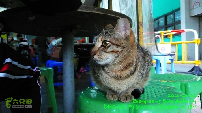 2012 12 02 紅磡往錦田108KmP1500838