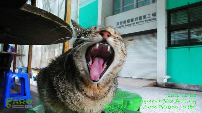 2012 12 02 紅磡往錦田108KmP1500839