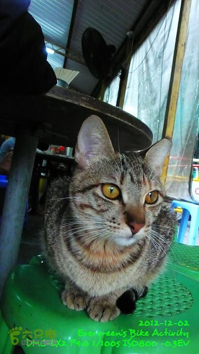 2012 12 02 紅磡往錦田108KmP1500840