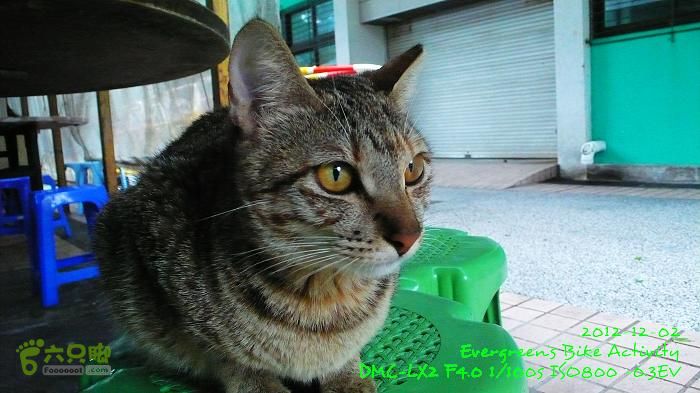 2012 12 02 紅磡往錦田108KmP1500843