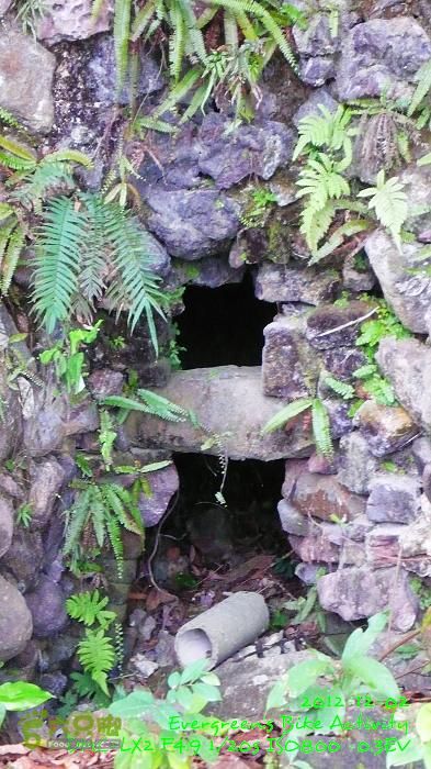 2012 12 02 紅磡往錦田108KmP1500853