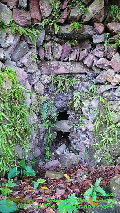 2012 12 02 紅磡往錦田108KmP1500854