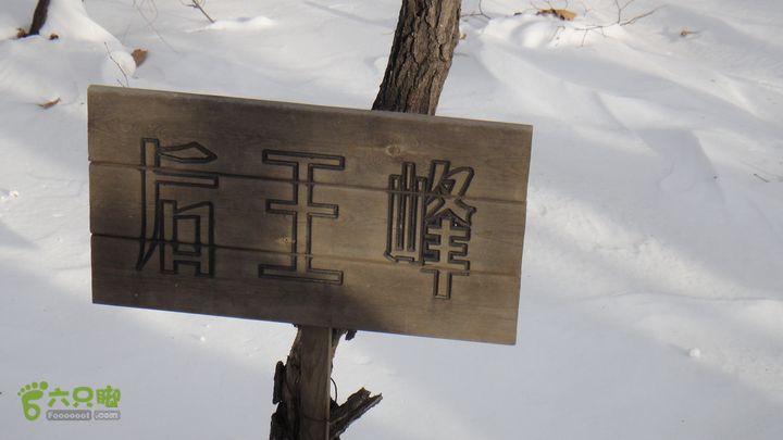 皇顶山DSC01515