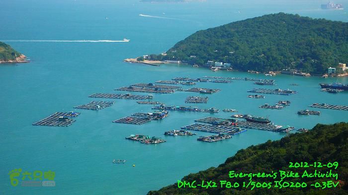 2012 12 09 南丫島越野 - 從榕樹灣到索罟灣P1500937