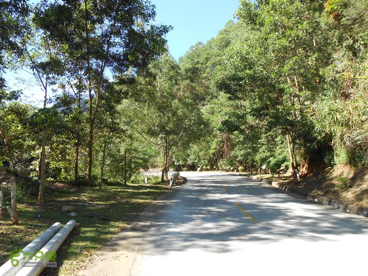 20121216五指山水满乡骑行登山DSCN2091