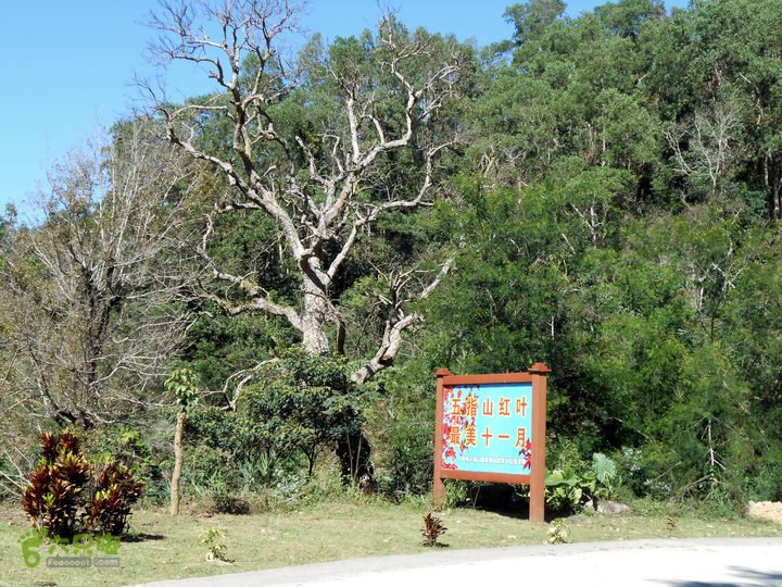 20121216五指山水满乡骑行登山DSCN2110