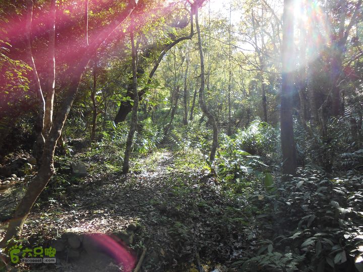 20121216五指山水满乡骑行登山DSCN2141