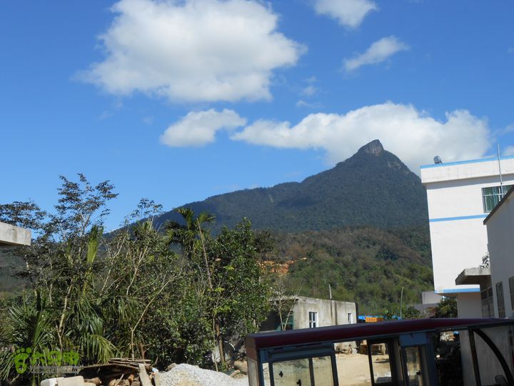 20121216五指山水满乡骑行登山DSCN2122