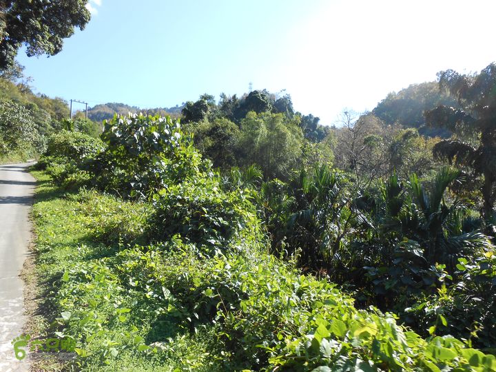 20121216五指山水满乡骑行登山DSCN2127