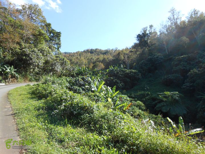 20121216五指山水满乡骑行登山DSCN2128