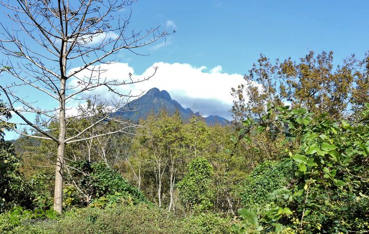 20121216五指山水满乡骑行登山DSCN2132